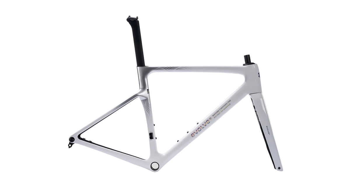 Evolve Cima - Special Edition - Billow
