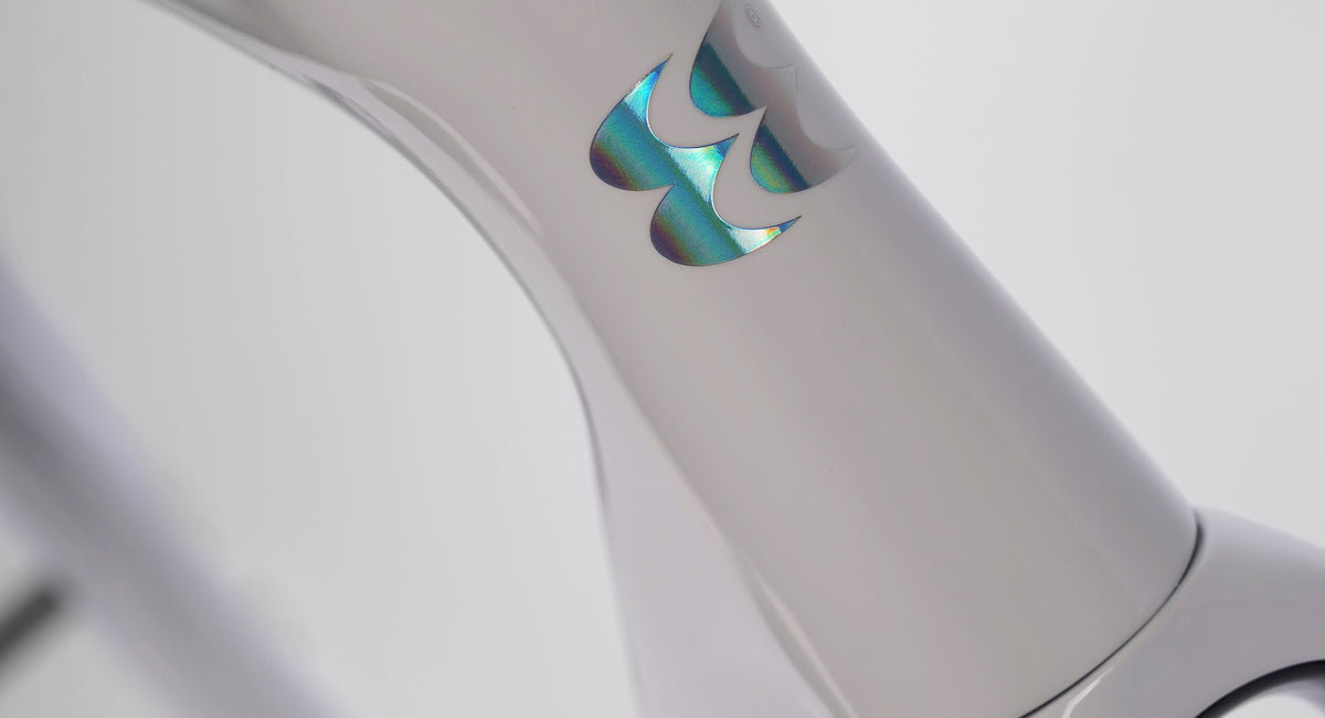 Evolve Cima - Special Edition - Billow
