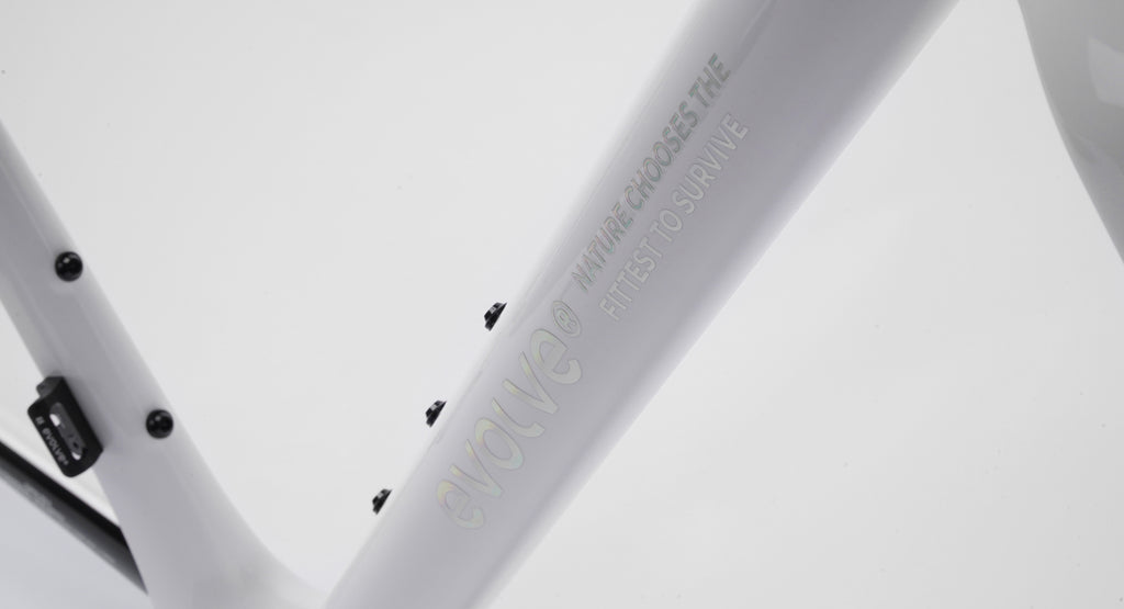 Evolve Cima - Special Edition - Billow