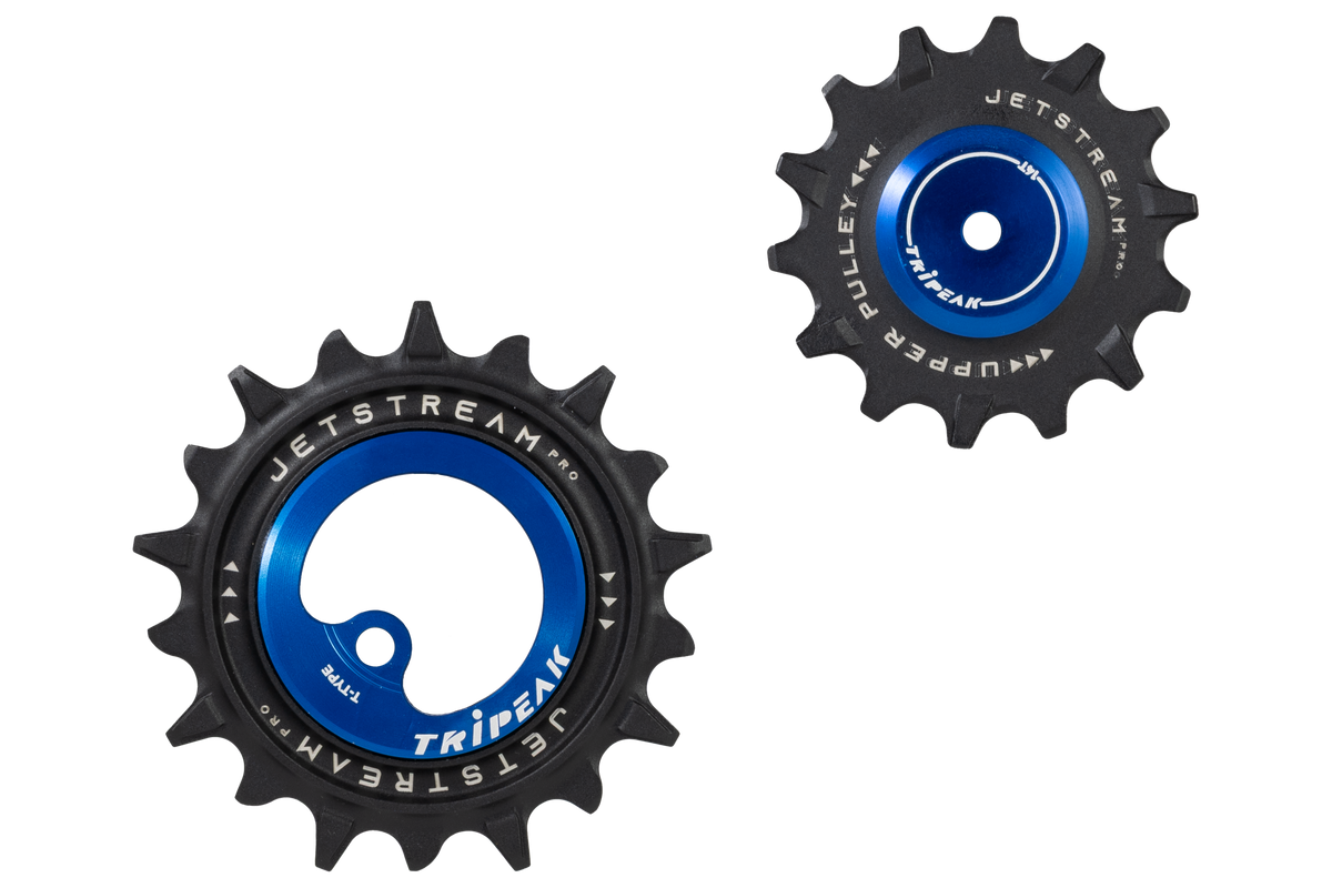 Two bicycle chainrings shown on a plain white background, one larger front ring and one smaller rear ring. Both are black with bright blue centers and white printed branding and model text.