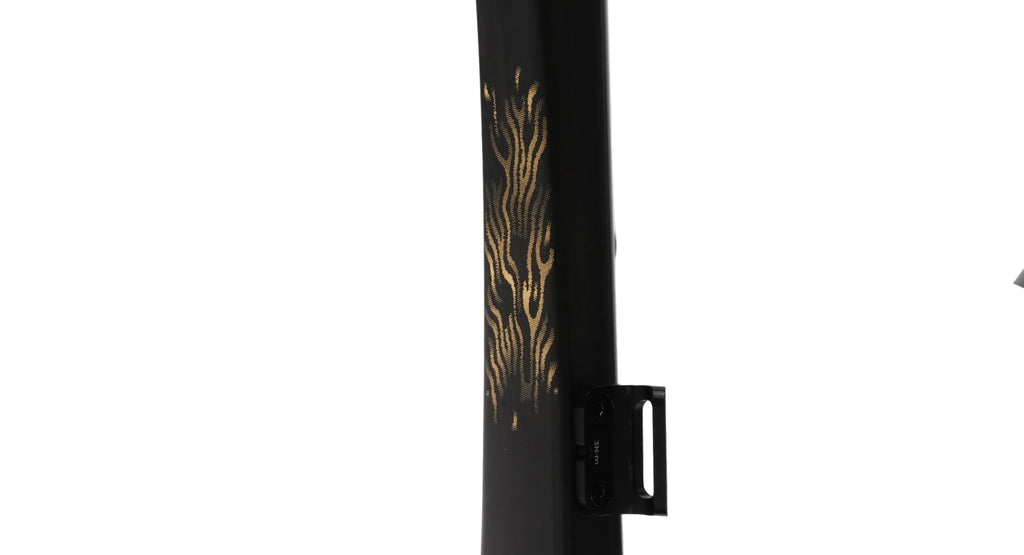 Evolve Cima - Speed Series - Matte Carbon / Gold