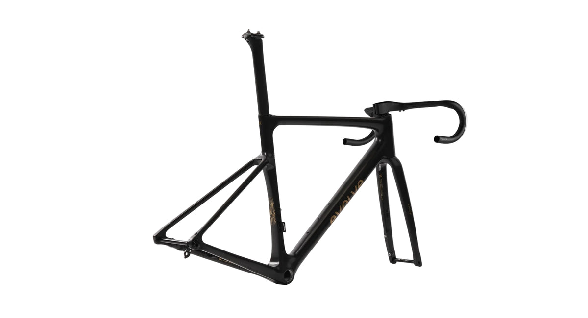 Evolve Cima - Speed Series - Matte Carbon / Gold