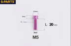 S-Parts Titanium SL Series Titanium Bolt - M5 x 20mm