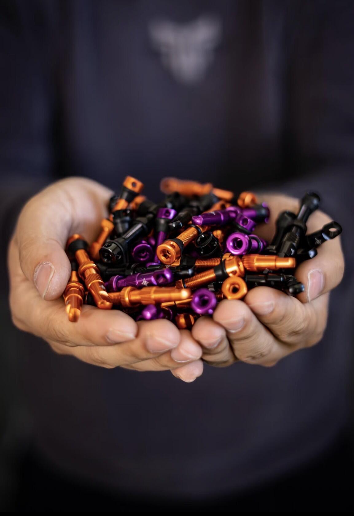 VoiceVelo VFV Tubeless Valves